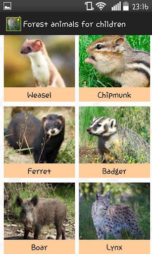 Forest Animals for Children - Image screenshot of android app