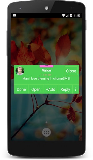 Frog Theme (chomp) - Image screenshot of android app