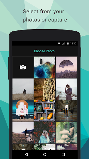 Polygon Effect - Low Poly Art - Image screenshot of android app