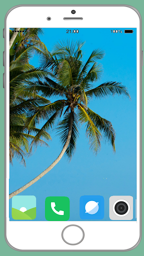 Palm Tree Full HD Wallpaper - Image screenshot of android app