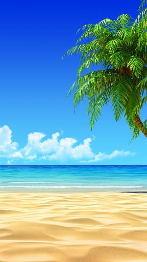 Palm Tree Wallpaper HD - Image screenshot of android app