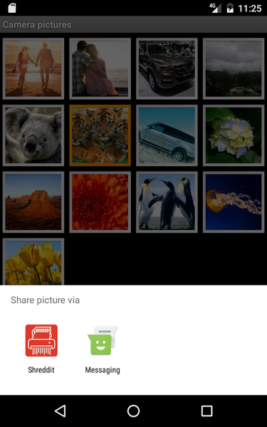 Shreddit - Data Eraser - Image screenshot of android app