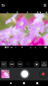 panasonic lumix sync