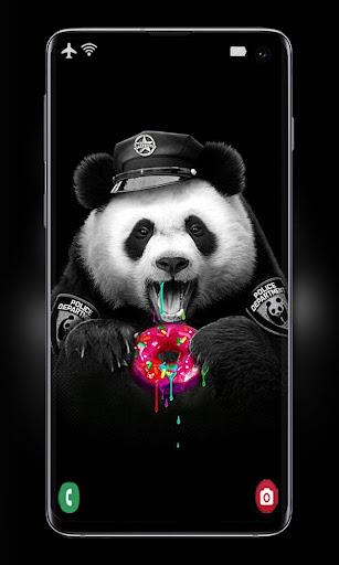 Cute Panda Wallpaper - عکس برنامه موبایلی اندروید