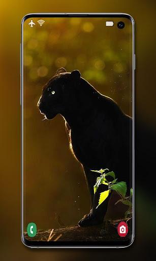 Panther Wallpaper - Image screenshot of android app