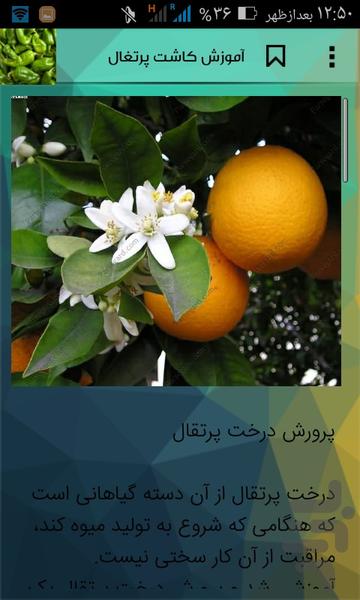 Growing fruit at home - عکس برنامه موبایلی اندروید