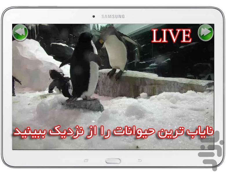 پخش زنده باغ وحش و جنگل آفریقا - عکس برنامه موبایلی اندروید
