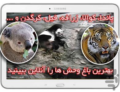 zoo cam - Image screenshot of android app