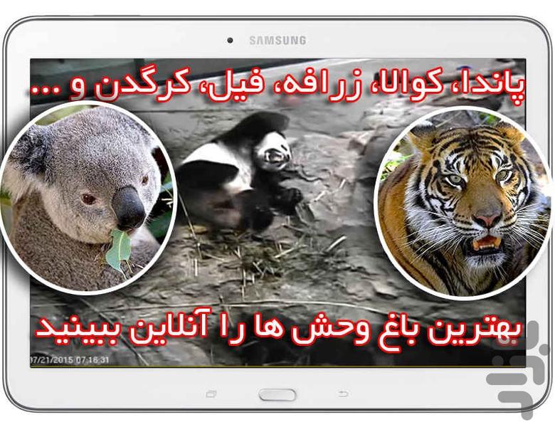 پخش زنده باغ وحش و جنگل آفریقا - Image screenshot of android app