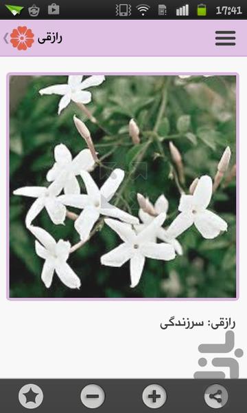 زبان گلها - Image screenshot of android app