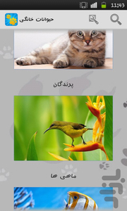 حیوانات - عکس برنامه موبایلی اندروید