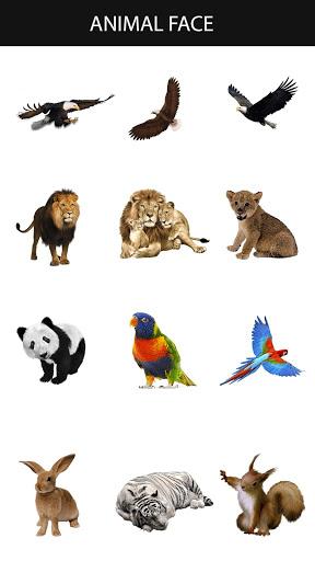 Animal Face Maker App - عکس برنامه موبایلی اندروید
