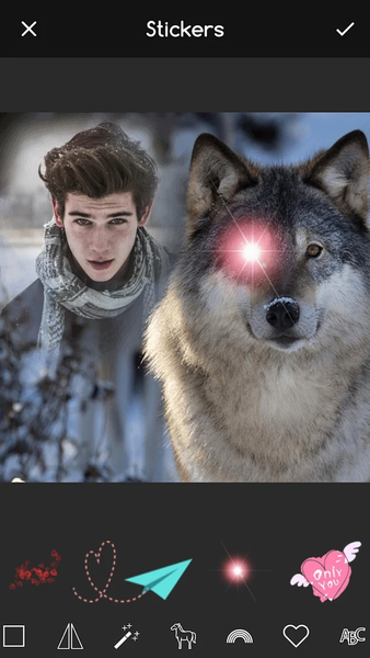 Wild Animal Frames for Picture - عکس برنامه موبایلی اندروید