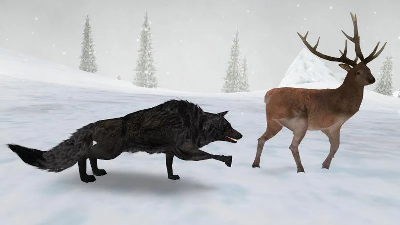 Wolf Simulator 2016 - Gameplay image of android game