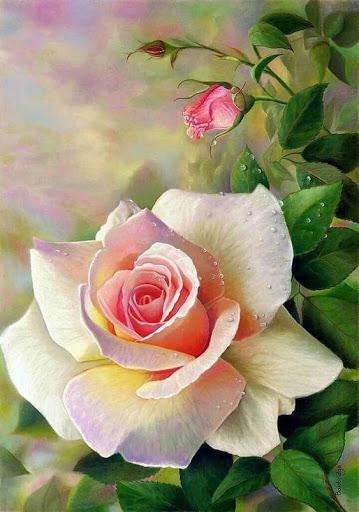 Rose Wallpaper - عکس برنامه موبایلی اندروید