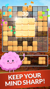 Blockscapes Sudoku - Gameplay image of android game