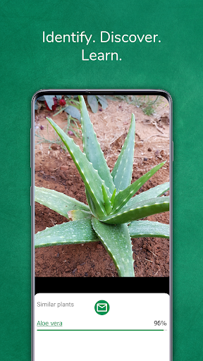 Plant identifier from photo - Image screenshot of android app