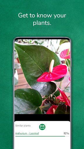 Plant identifier from photo - Image screenshot of android app