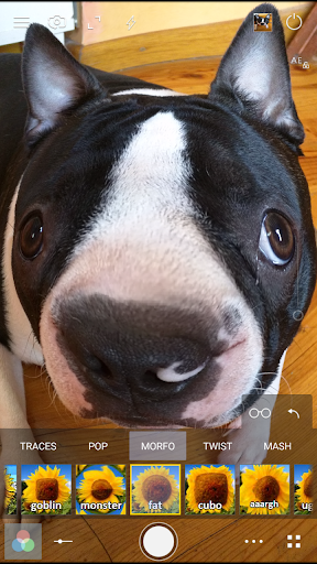 Cameringo Lite. Filters Camera - عکس برنامه موبایلی اندروید