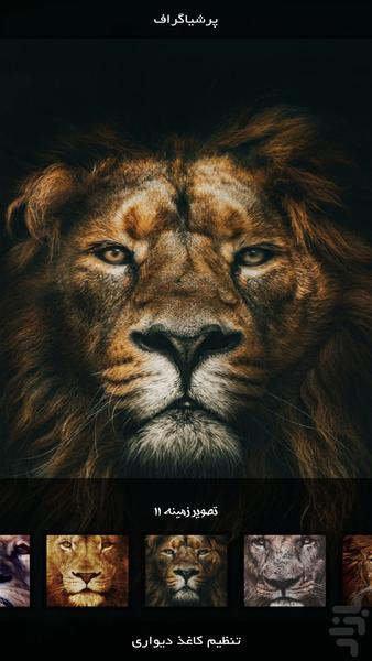 Andvier | Lion - Image screenshot of android app