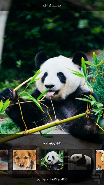 Andvier | Animals - Image screenshot of android app