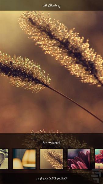 Andvier | Photography - Image screenshot of android app