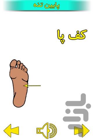 آموزش فارسی ۵ - عکس برنامه موبایلی اندروید