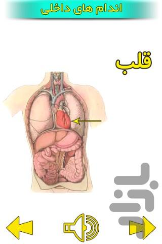 آموزش فارسی ۵ - عکس برنامه موبایلی اندروید
