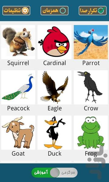 Animal Sound - Gameplay image of android game