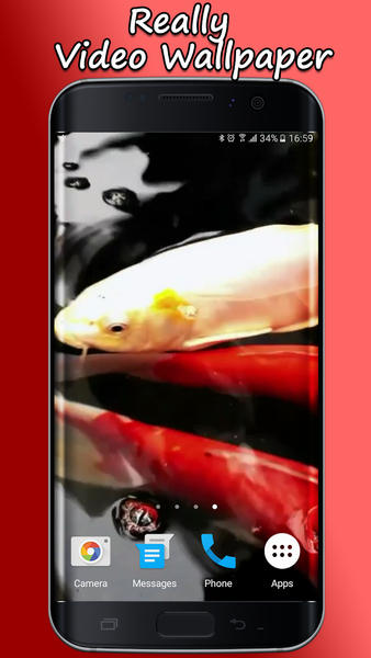 Koi Live Wallpaper PRO - Image screenshot of android app