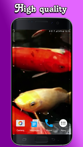 Koi Live Wallpaper PRO - Image screenshot of android app