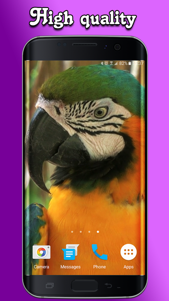 Parrot Live Wallpaper - Image screenshot of android app