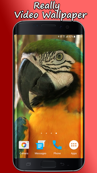 Parrot Live Wallpaper - Image screenshot of android app