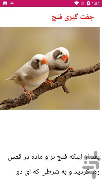 آموزش پرورش فنچ - عکس برنامه موبایلی اندروید
