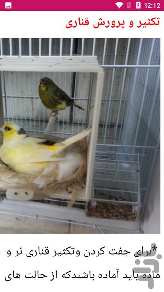 آموزش پرورش قناری - عکس برنامه موبایلی اندروید