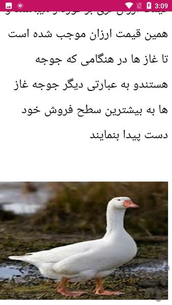 آموزش پرورش غاز - عکس برنامه موبایلی اندروید