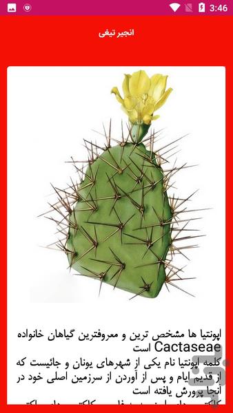 آموزش پرورش کاکتوس - عکس برنامه موبایلی اندروید