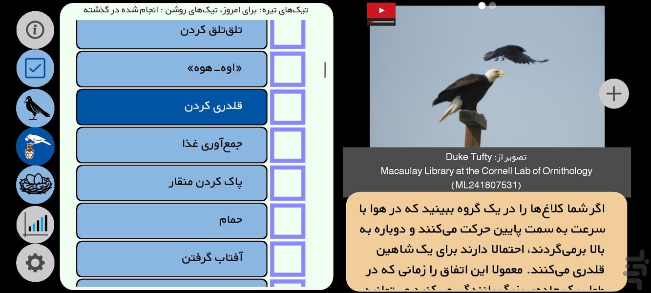 کلاغ شناس - عکس برنامه موبایلی اندروید
