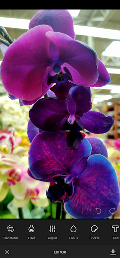 Photobucket Photo Storage - عکس برنامه موبایلی اندروید