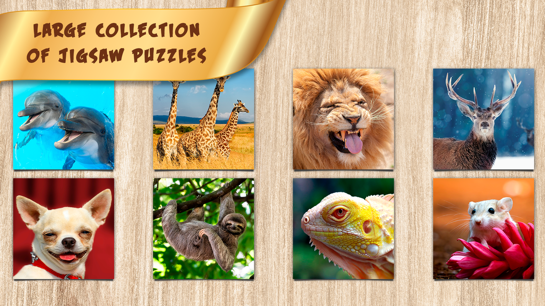Puzzles for Adults no internet - Image screenshot of android app
