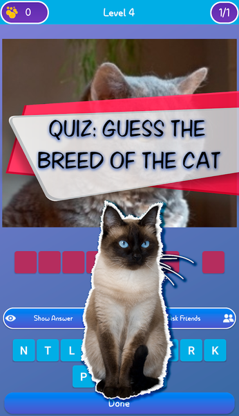 Guess the cat - quiz game - عکس بازی موبایلی اندروید