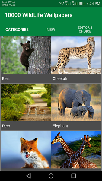 10000 WildLife Wallpapers - Image screenshot of android app