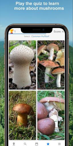 Mushroom Identify - Automatic - عکس برنامه موبایلی اندروید