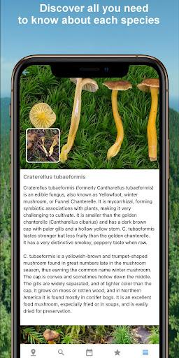 Mushroom Identify - Automatic - عکس برنامه موبایلی اندروید