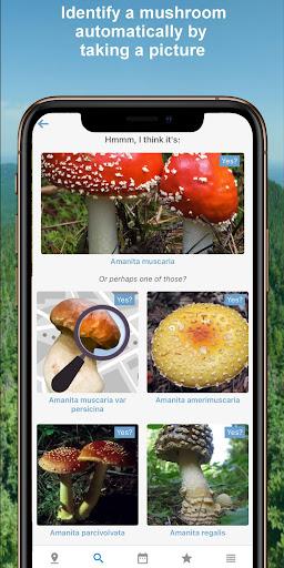 Mushroom Identify - Automatic - عکس برنامه موبایلی اندروید