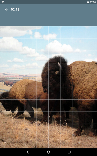 Jigsaw Puzzle: Animals - Gameplay image of android game