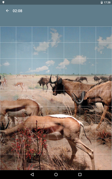 Jigsaw Puzzle: Animals - Gameplay image of android game