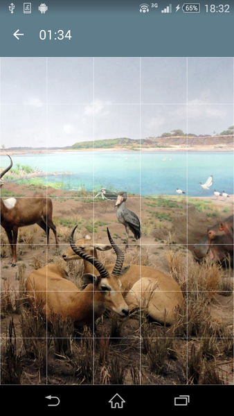Jigsaw Puzzle: Animals - Gameplay image of android game