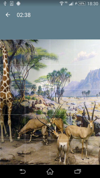 Jigsaw Puzzle: Animals - Gameplay image of android game