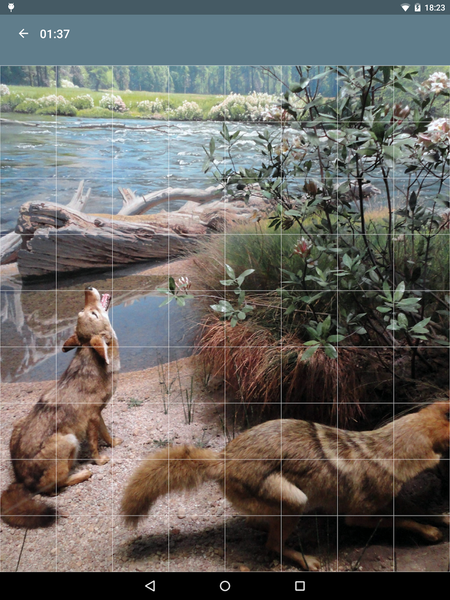 Jigsaw Puzzle: Animals - Gameplay image of android game